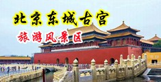 白虎白丝喷白浆中国北京-东城古宫旅游风景区